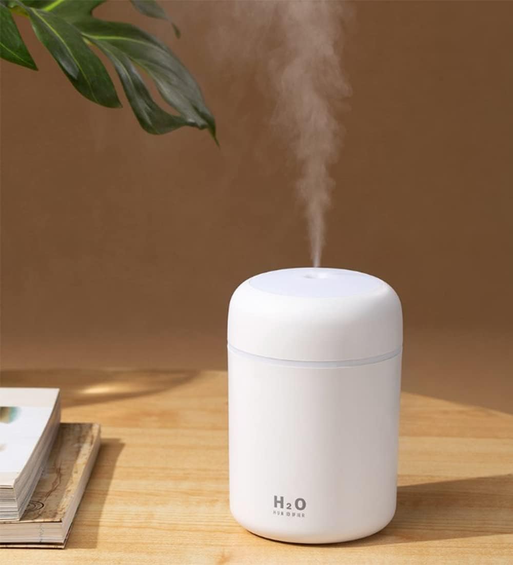 Humidifier