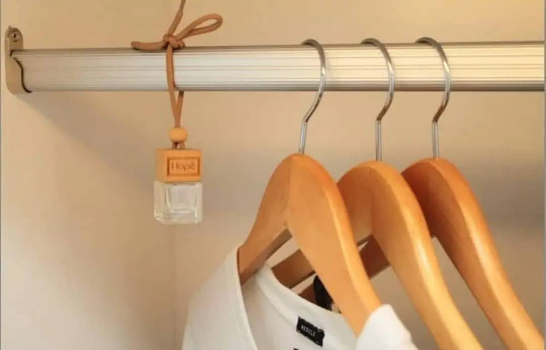 Car Hanging Perfumes