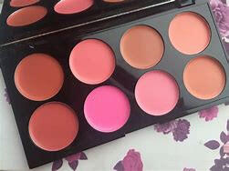 Blush Palette